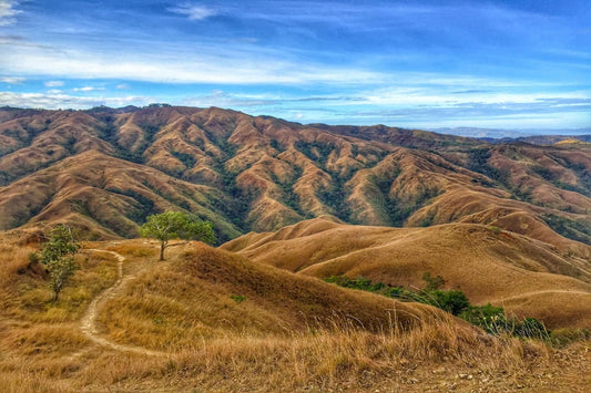 apao rolling hills abra tourist spots