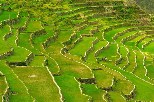 batad rice terraces ifugao tourist spots