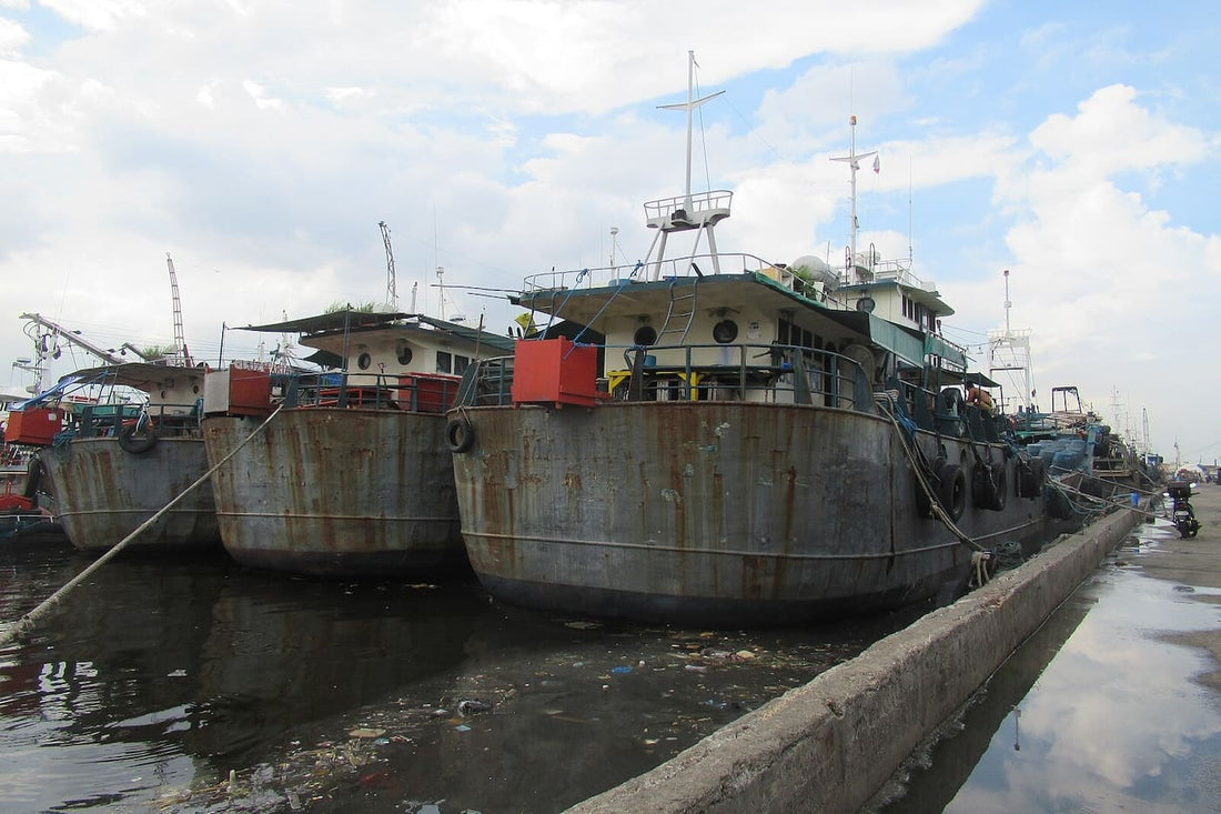 navotas fish port