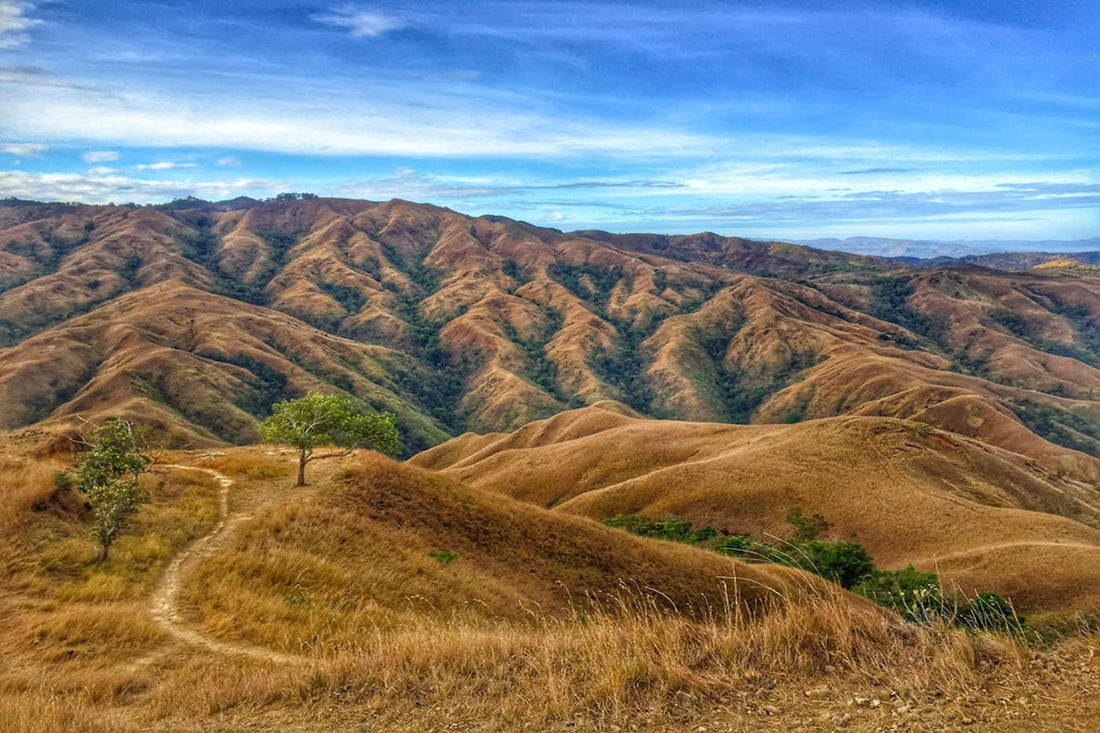 apao rolling hills abra tourist spots